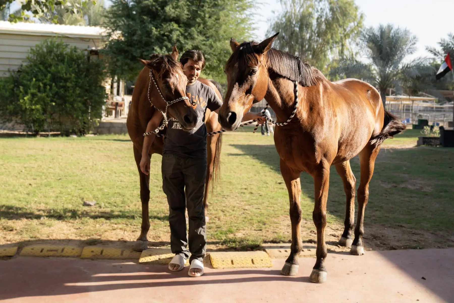 Emirates Legal Knights