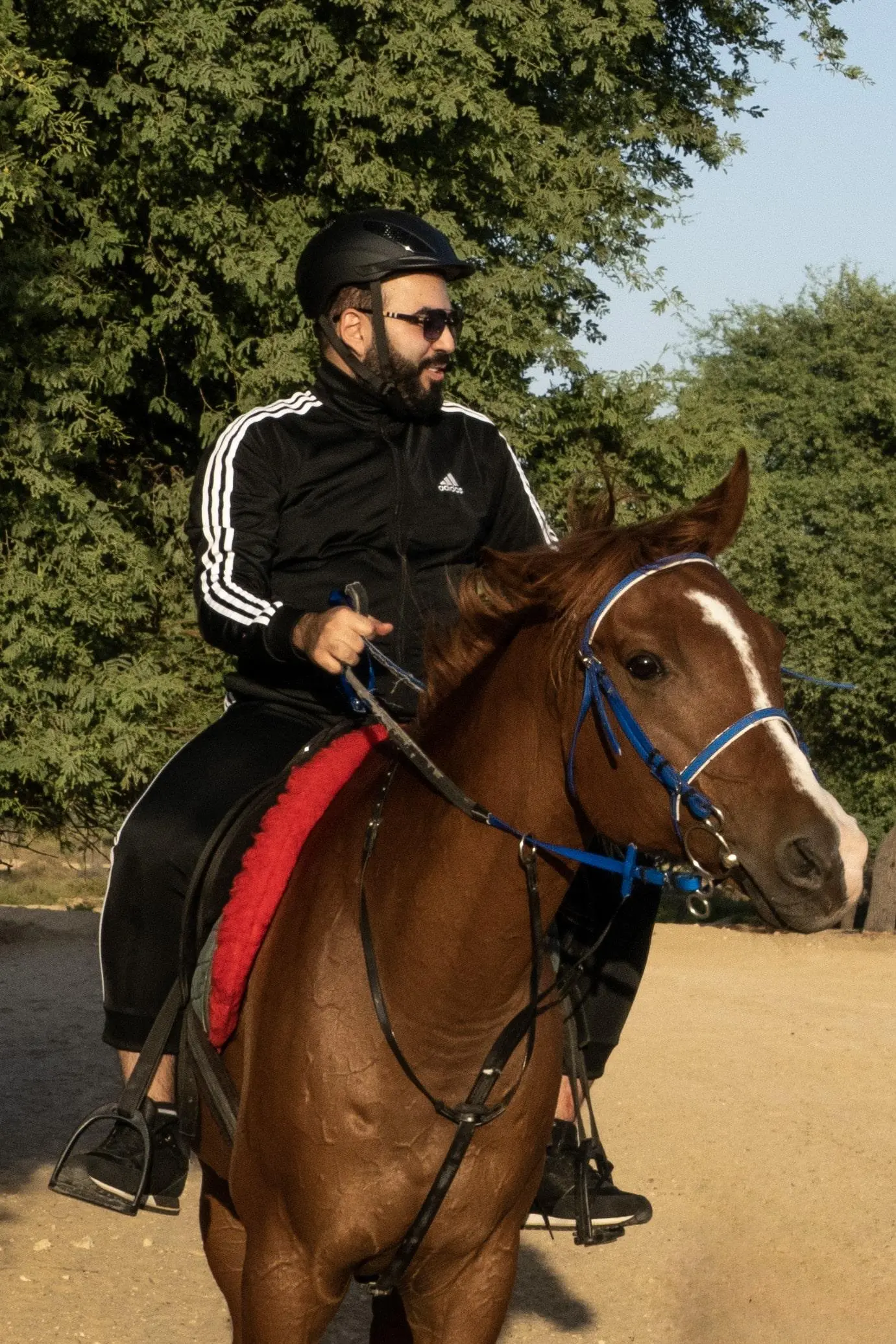 Emirates Legal Knights