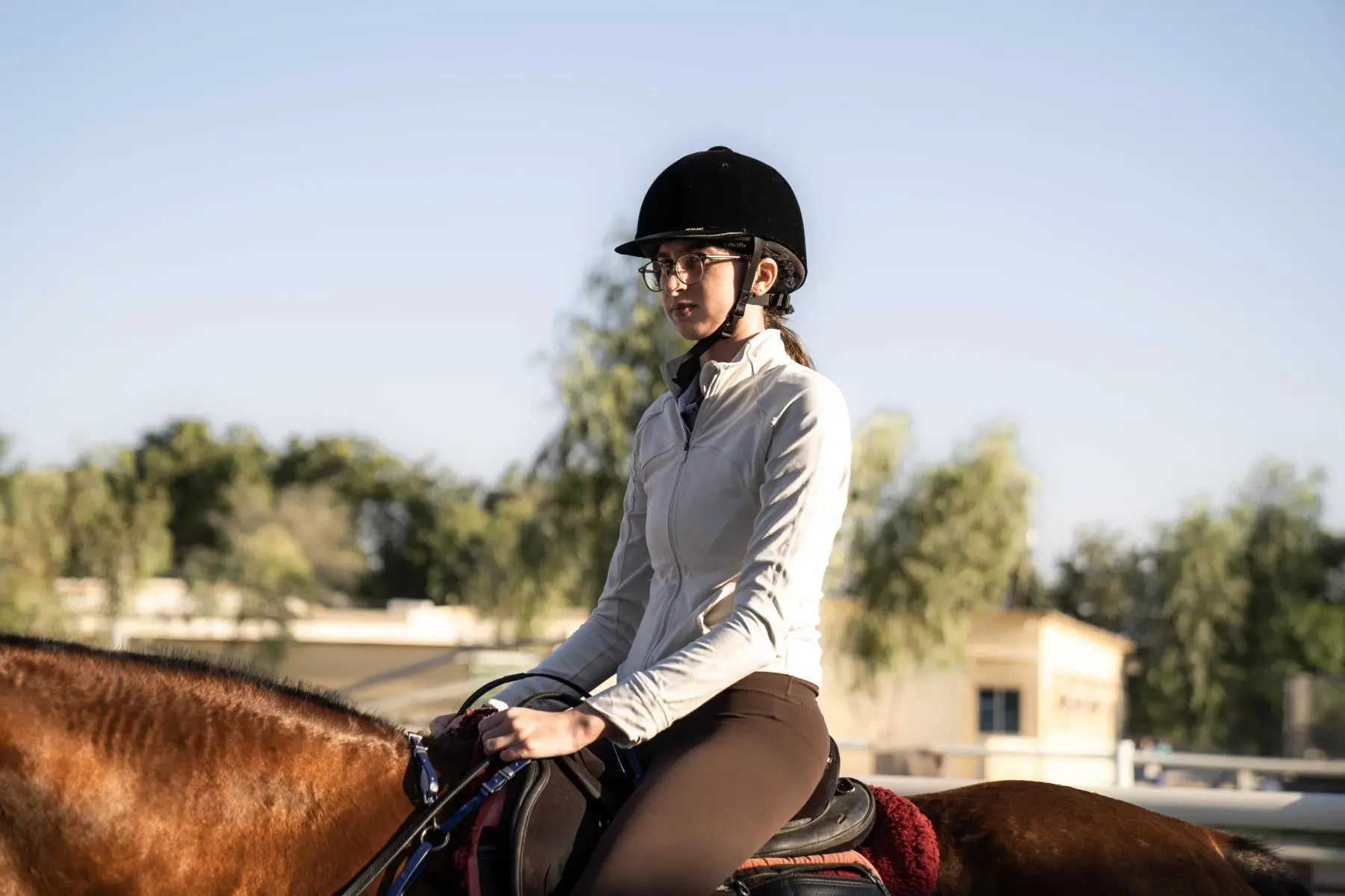 Emirates Legal Knights