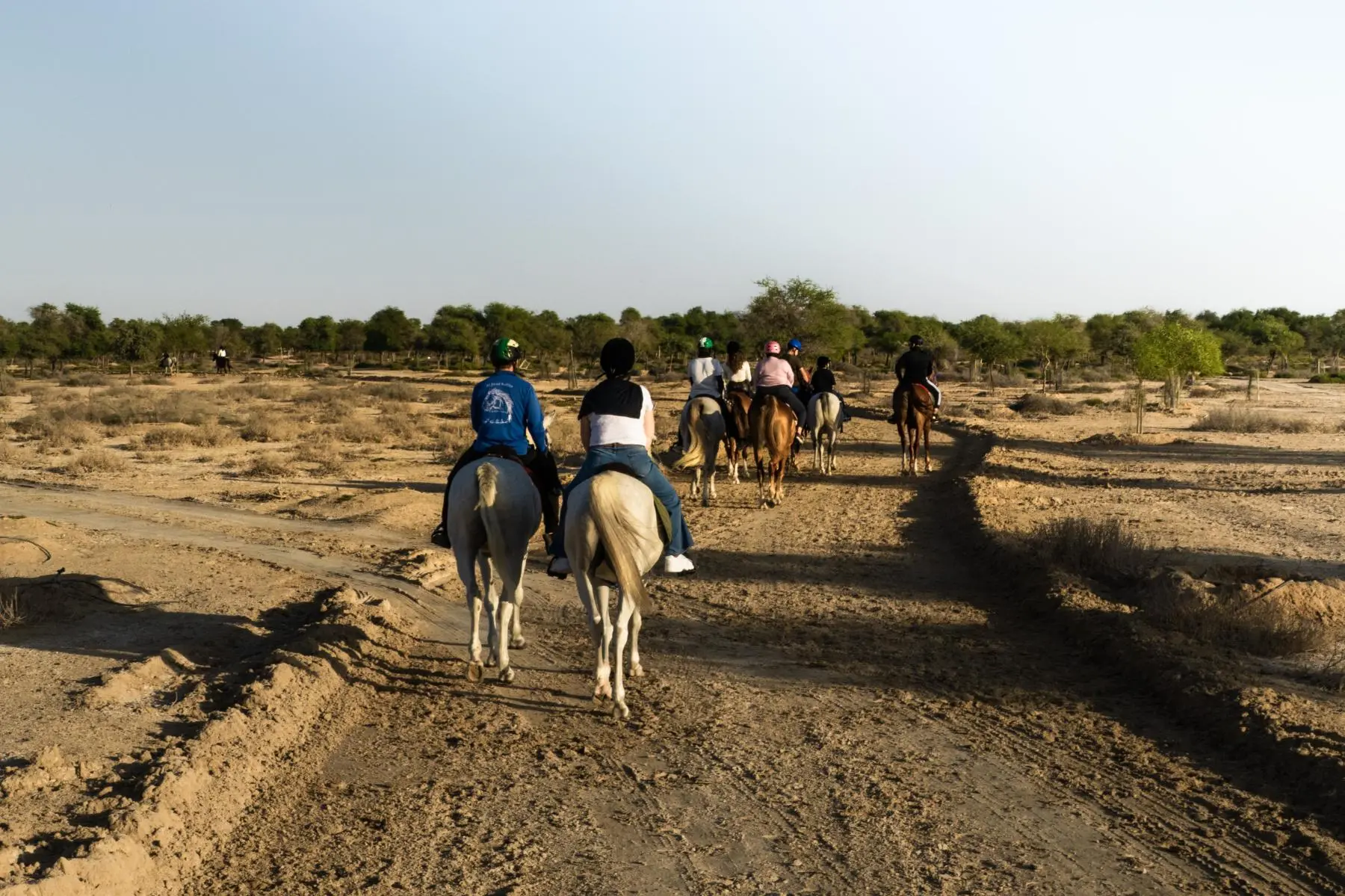 Emirates Legal Knights