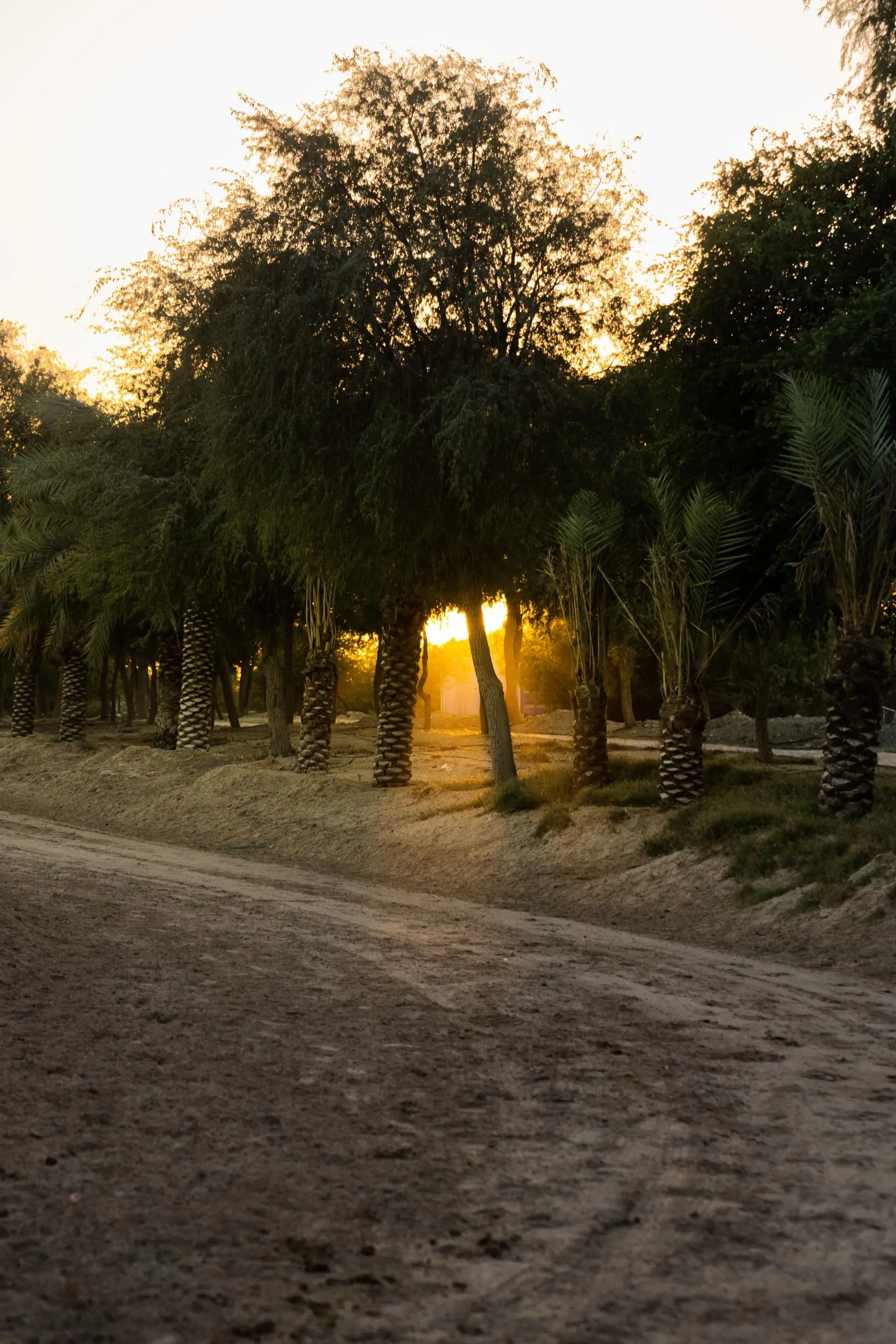 Emirates Legal Knights